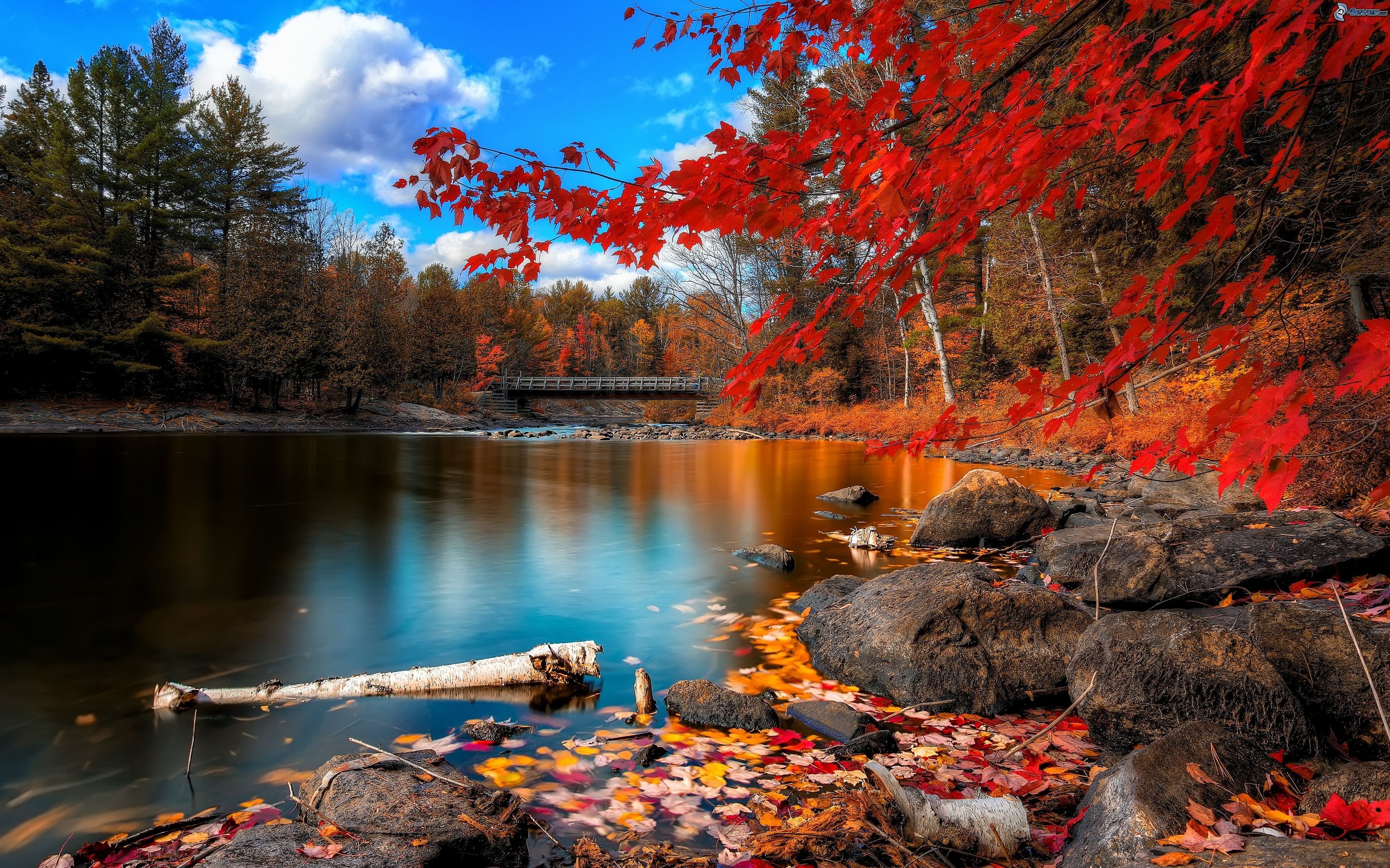 paisaje-de-otono,-hojas-de-colores,-nivel-de-aguas-tranquilas,-puente-162719